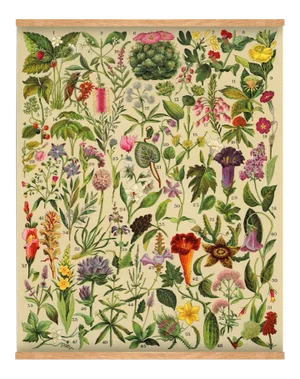 Antique 'Spanish Botanical 2" Wall Hanging