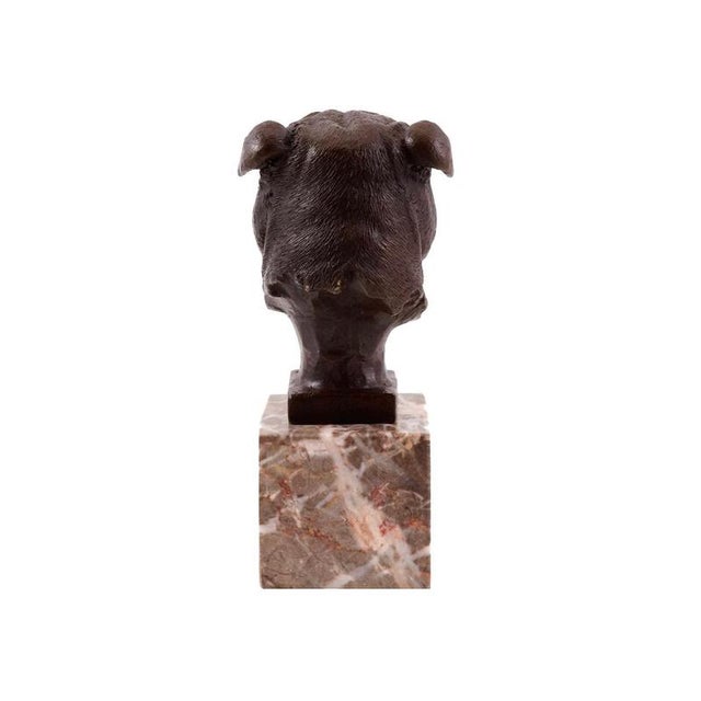 French Bulldog Head Sculpture in Bronze, 20th Century For Sale - Image 4 of 10