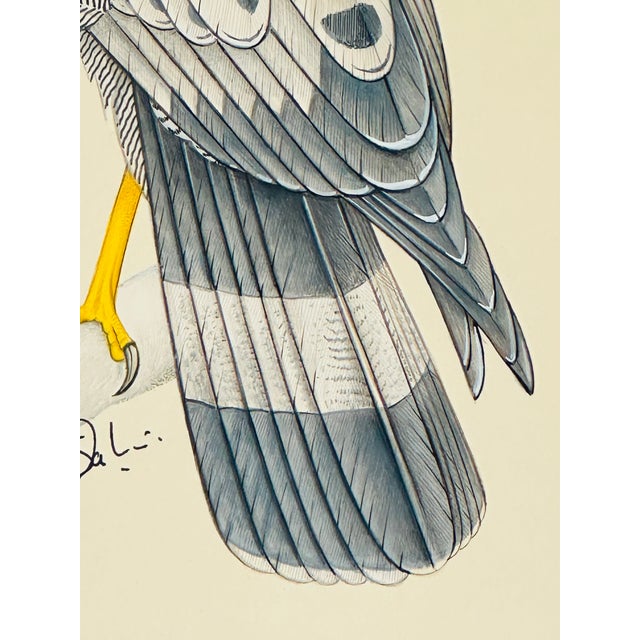 Large Size Original Hand-Painted Painting of a Bird in a Vintage Frame For Sale - Image 4 of 5