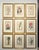 Illustration Set of 9 Original 1842 Curtis Botanical Prints in Ornate Gold-Leaf Gesso Matting – Framed For Sale - Image 3 of 15