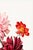 English Dahlias by Willem Hekking, Vintage Botanical Art Print, 40" X 60" For Sale - Image 3 of 10