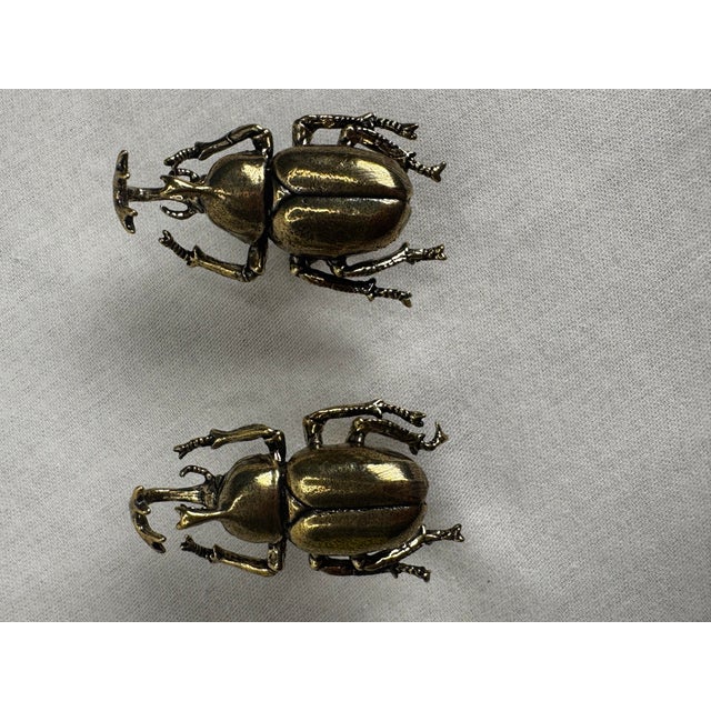 Pair of Vintage Victorian Revival Solid Brass Beetle Cabinet Knobs Hardware For Sale In Houston - Image 6 of 12