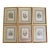 Mid 19th Century “Les Fleurs Animées” Original Hand-Painted Antique French Lithographs 1846, Set of 6, Framed For Sale