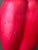 A signed ceramic red bell pepper sculpture by American ceramic artist Mary Kirk Kelly. Known for her realistic botanical...