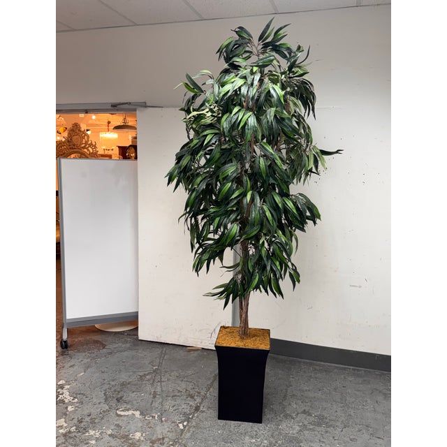 Design Plus Gallery presents a Faux Mango Tree + Tapered Black Planter. This tall faux tree has a slender trunk and a...