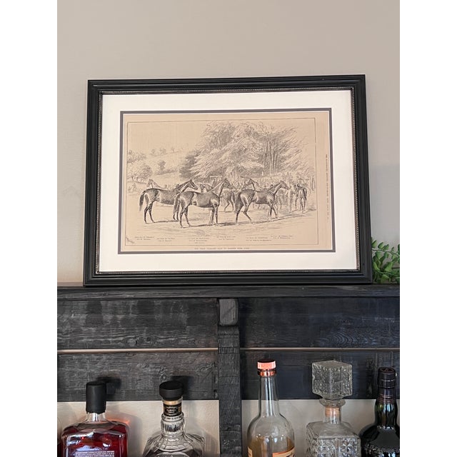 Antique enthusiasts and equestrian art lovers, don't miss this rare and beautifully detailed illustration of horses from...