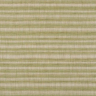 Schumacher Petra Stripe Fabric in Grass For Sale