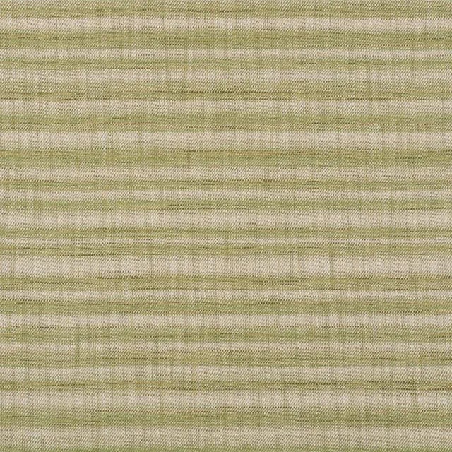 Schumacher Petra Stripe Fabric in Grass For Sale