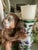 Antique Pair of Early Export Chinoiserie Ceramic Monkey Vase/Candlestick Holders For Sale - Image 10 of 12