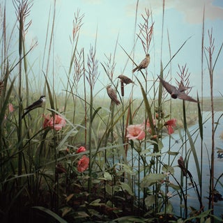 Photograph - Birds And Flowers For Sale