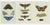 Paper Bertuch, Set of Three Antique Butterfly and Moth Prints, Engraving For Sale - Image 7 of 9