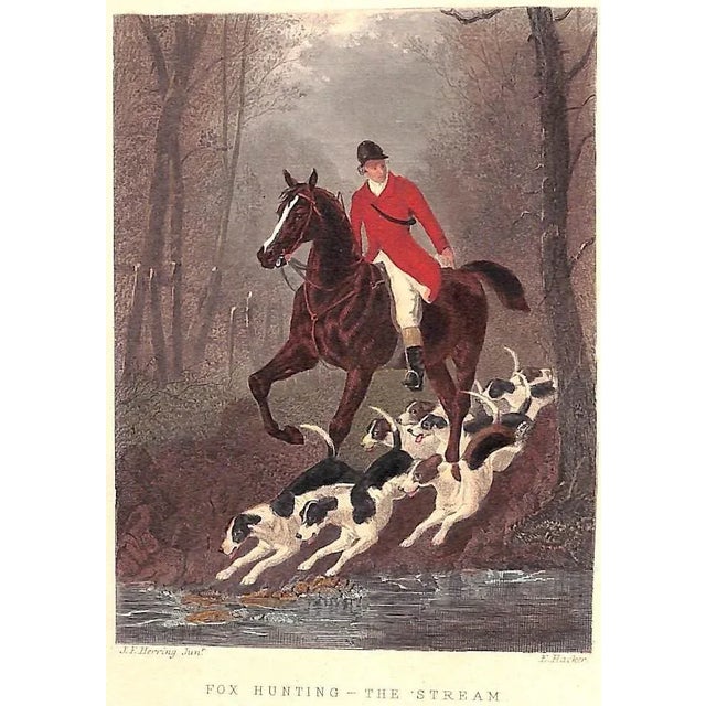 White "Notitia Venatica: A Treatise on Fox-Hunting Vol I & Ii" Vyner, Robert T. For Sale - Image 8 of 11