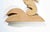 Fernando Codognotto, Sea Horse Wooden Sculpture, 2026, Wood For Sale - Image 3 of 5