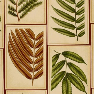 Sample- Schumacher Montserrat Leaf Fabric in Sepia For Sale