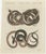 Bertuch, Four Intertwined Snakes, 1805, Print For Sale - Image 3 of 12