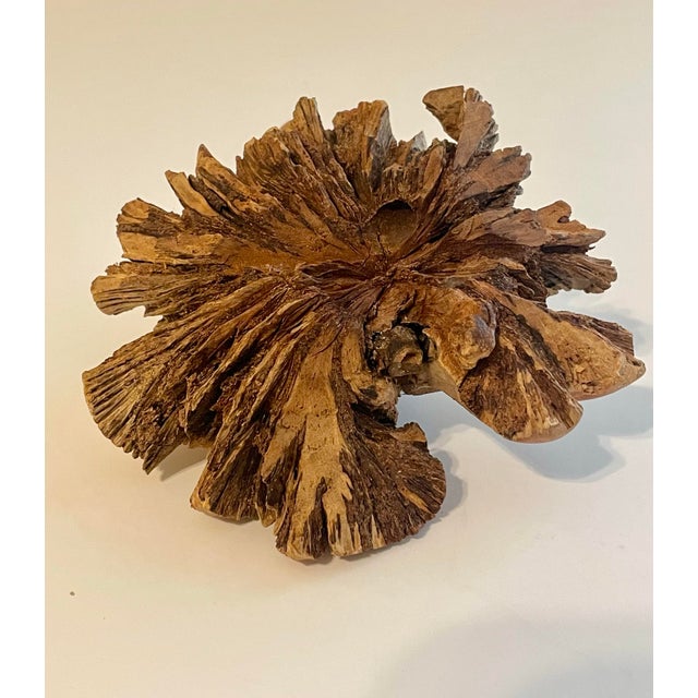 Chinese Live Edge Carved Root Wood Frog Feng Shui For Sale In Savannah - Image 6 of 10