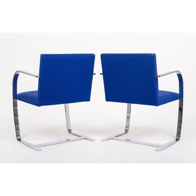 Mid Century Blue Brno Chairs by Mies Van Der Rohe for Knoll, 2006 For Sale In Detroit - Image 6 of 13
