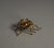 Brass Spider and Fly, 1940s, Set of 2 For Sale - Image 12 of 18