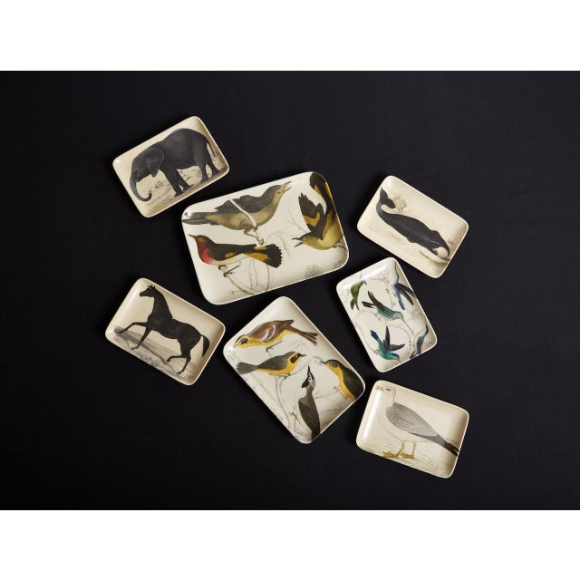 Illustration Ornithology Bird Tray, Set of 3 For Sale - Image 3 of 6
