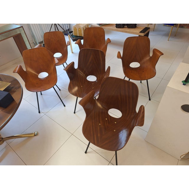 Model Medea 102 Chairs by Vittorio Nobili for Medea, 1950s, Set of 6 For Sale - Image 6 of 6