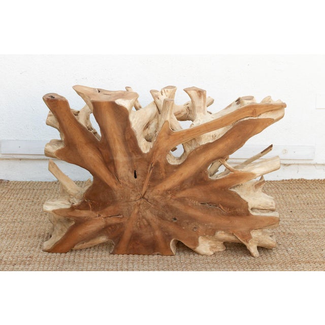Tan Sculptural Live Form Teak Root Coffee Table For Sale - Image 8 of 9