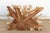 Tan Sculptural Live Form Teak Root Coffee Table For Sale - Image 8 of 9