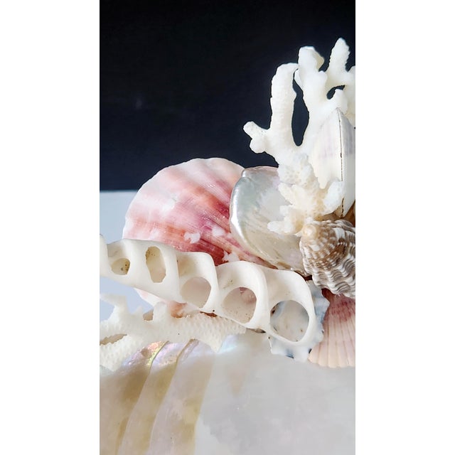 Handcrafted Oyster Shell Tray With Vintage Seashell Composition & Biwa Pearls — Coastal Sculptural Object For Sale - Image 10 of 14