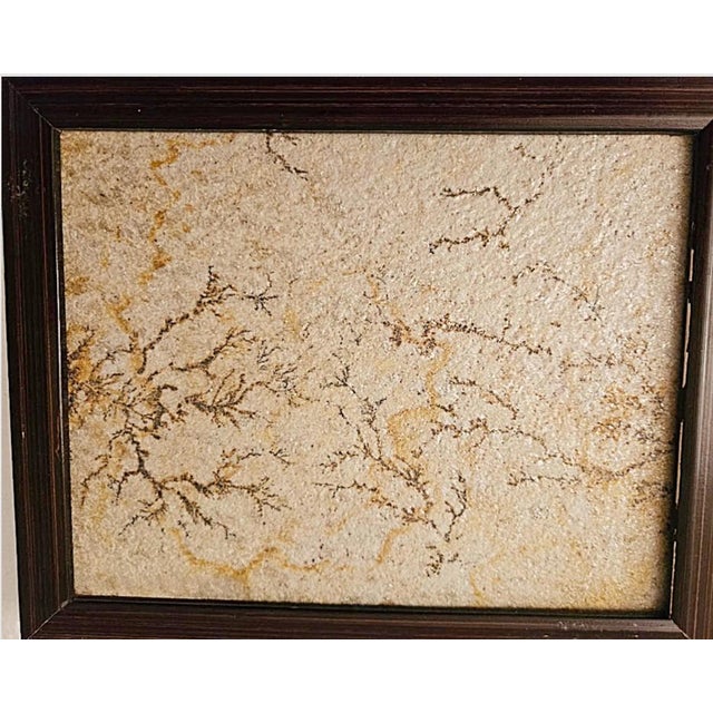This marvelous Brazilian sandstone plaque with dendrite ferns is a natural rock slab featuring dark, tree-like branching...