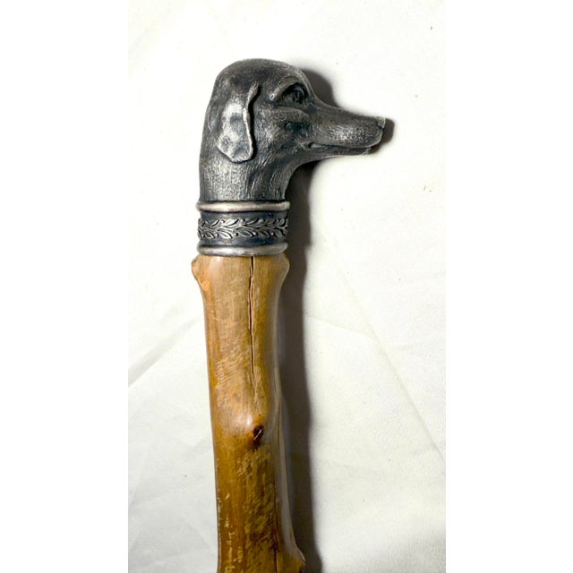 Antique 19th Century Handmade 800 Sterling Silver Wood Dog Walking Stick Cane For Sale - Image 11 of 18