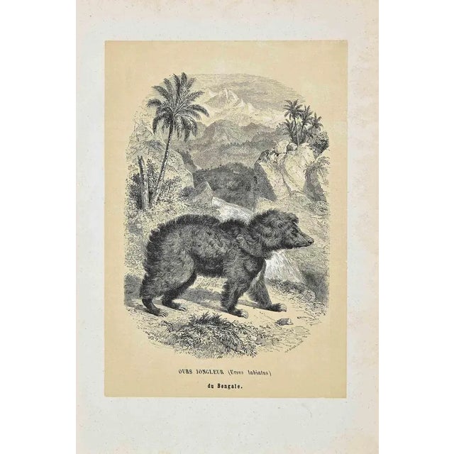 Ours Jongleur an original lithograph with stencil on ivory-colored paper, realized by Paul Gervais (1816-1879). The...