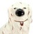 Circa 1860-1880 Victorian Staffordshire Gold-Lustre Spaniel Dogs, Pair For Sale In San Francisco - Image 6 of 15