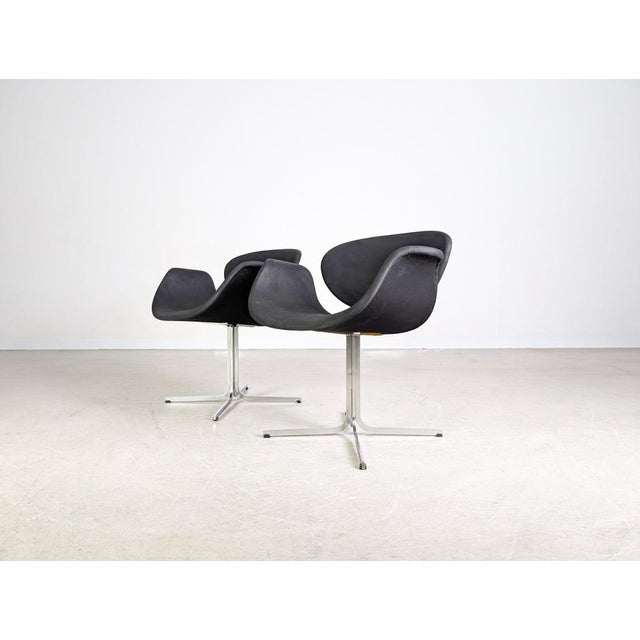 Little Tulip Chairs by Pierre Paulin for Artifort, 1970, Set of 2 For Sale - Image 5 of 11