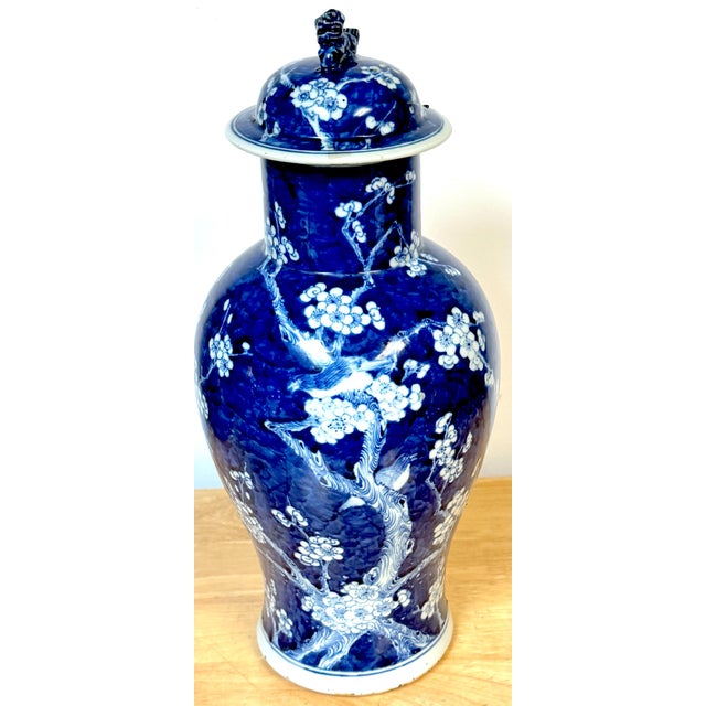 18th Century Chinese Blue & White 'Prunus & Birds' Jar/Vase & Cover Earlier Qing Dynasty For Sale - Image 5 of 12