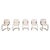 Vintage Dining Chairs attributed to Cidue, 1970s, Set of 5 For Sale - Image 14 of 14