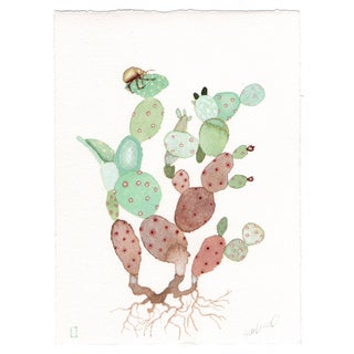 "Beetle Cactus" Original Watercolor For Sale