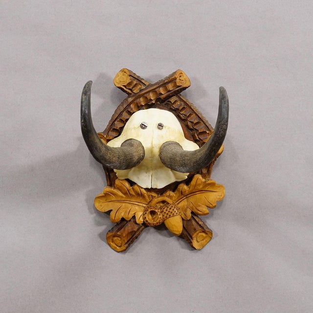 Rustic European Vintage Chamois Trophy on Carved Plaque, Germany 1950s For Sale - Image 3 of 5