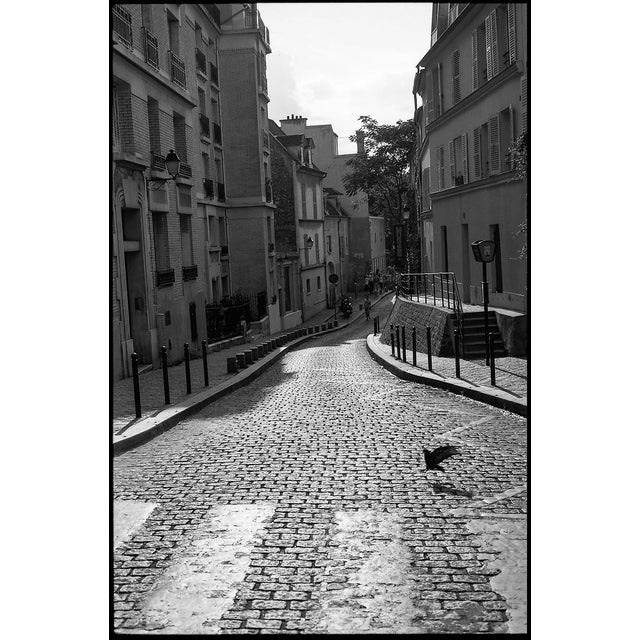 Paul Cooklin, Pigeon Crossing, Paris, Edition of 50 For Sale - Image 7 of 7