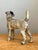 Metal Vintage Cast Iron Jack Russell Terrier Dog Doorstop For Sale - Image 7 of 12