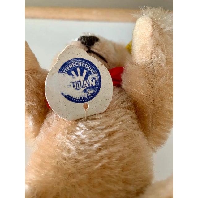 Rare Early 1900's STEIFF BEAR 11 “ with Shoe Button Eyes | eBay