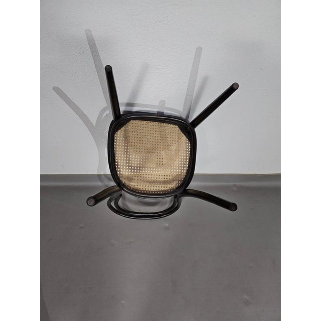 Model 214 and 79 Cafe Chairs with Cane Seats by Michael Thonet, Set of 3 For Sale - Image 10 of 18