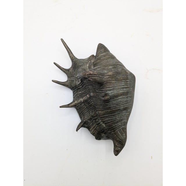 Nautical Mid 20th Century Oversized Silver Tone With Patina Conch Shell For Sale - Image 3 of 7