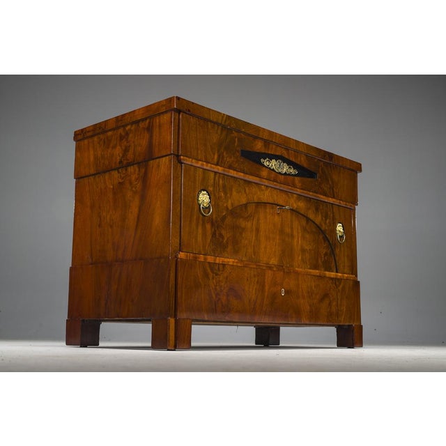 Early 19th Century Biedermeier Mahogany Commodes, 1830s For Sale - Image 15 of 18