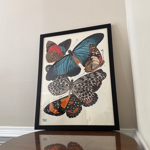 Vintage Insects Giclee Print After Emile-Allain Seguy ~Framed For Sale In Atlanta - Image 6 of 9