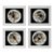 Botanical Studies — Limited Edition Photographic Series of 4 by Diane Grant For Sale