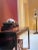 "Design & Detail in the Home" Viscount David Linley-Abrams-2000 For Sale - Image 10 of 11