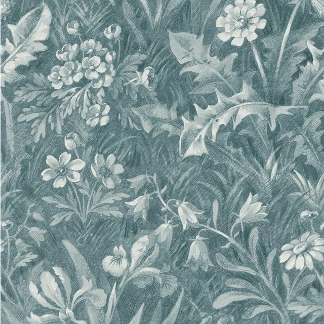 Beltane Wallpaper - Euphorbia For Sale
