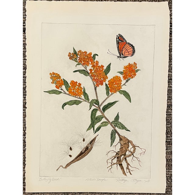 1980s Kathryn O'Bryan Butterfly Weed Hand Colored Botanical Etching For Sale - Image 5 of 5