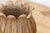 1960s Large Carved Brown Marble Lotus Bowl For Sale - Image 5 of 9