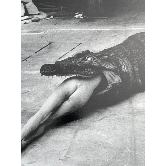 "Crocodile Eating Ballerina, Wuppertal 1983" Vintage Silver Gelatin Print by Helmut Newton For Sale In Miami - Image 6 of 8