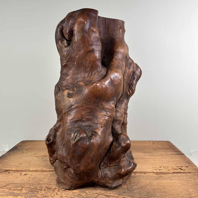 Wood Japanese Decorative Burl Wood Tsuge, 1920s For Sale - Image 7 of 18